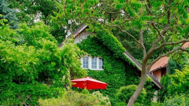 A garden with a paved driveway, stone wall, and a red umbrella. - Karasova II by Interhome (Dehtáře)