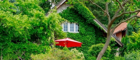A house partially covered in green foliage, with a visible window and a red umbrella.