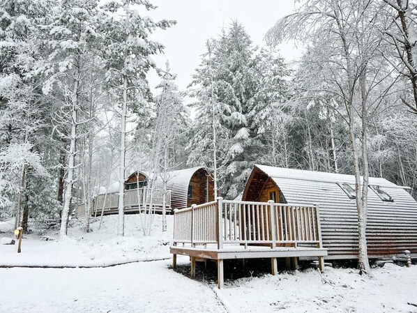 Une rangée de chalets en rondins, dotés de terrasses et de rampes en bois, entourés d’arbres couverts de neige.