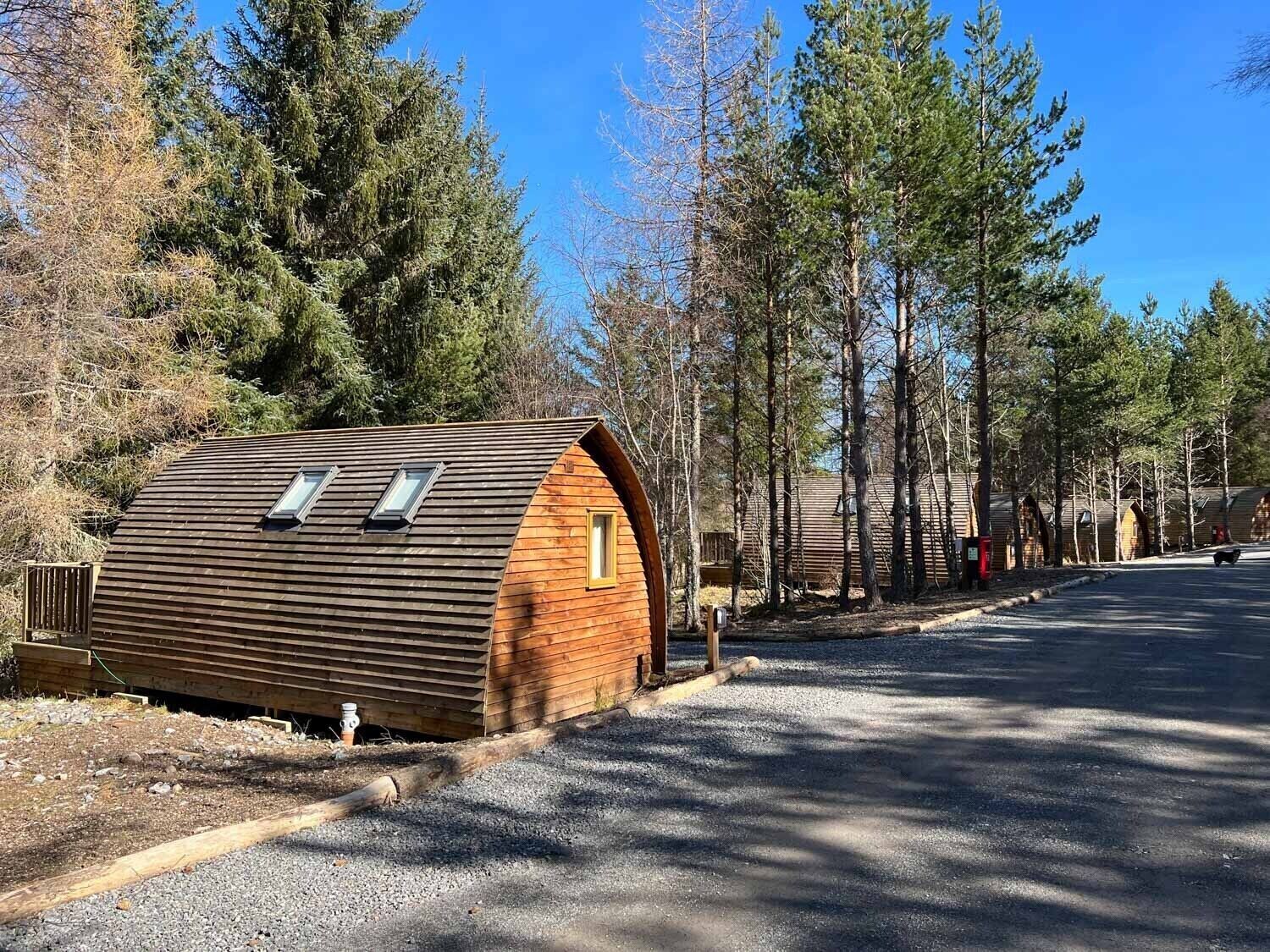 A rustic cabin with a sloped roof and skylights, surrounded by tall pine trees and a gravel driveway.