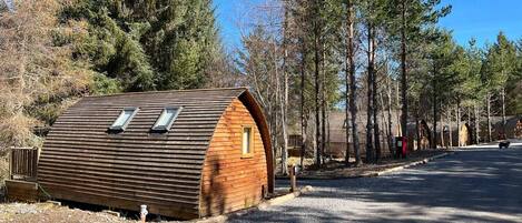 Un chalet rustique avec un toit en pente et des fenêtres de toit, entouré de grands pins et bordé d’une allée en gravier.