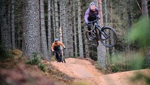Ein Mountainbiker auf einem Feldweg, umgeben von hohen Bäumen.