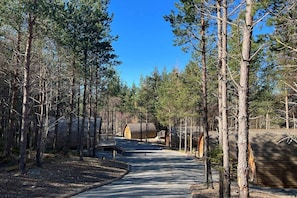 Een camping met meerdere blokhutten, een verharde weg en omliggende bomen.