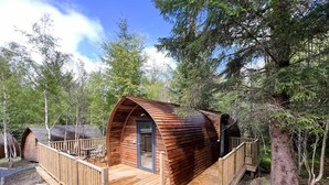 Een houten vakantiehuis met een gebogen dak, een terras en een deur.