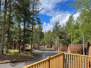 Zona boscosa con cabañas de madera y un sendero pavimentado.