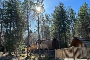 Una cabaña de madera rodeada de altos pinos en un bosque.