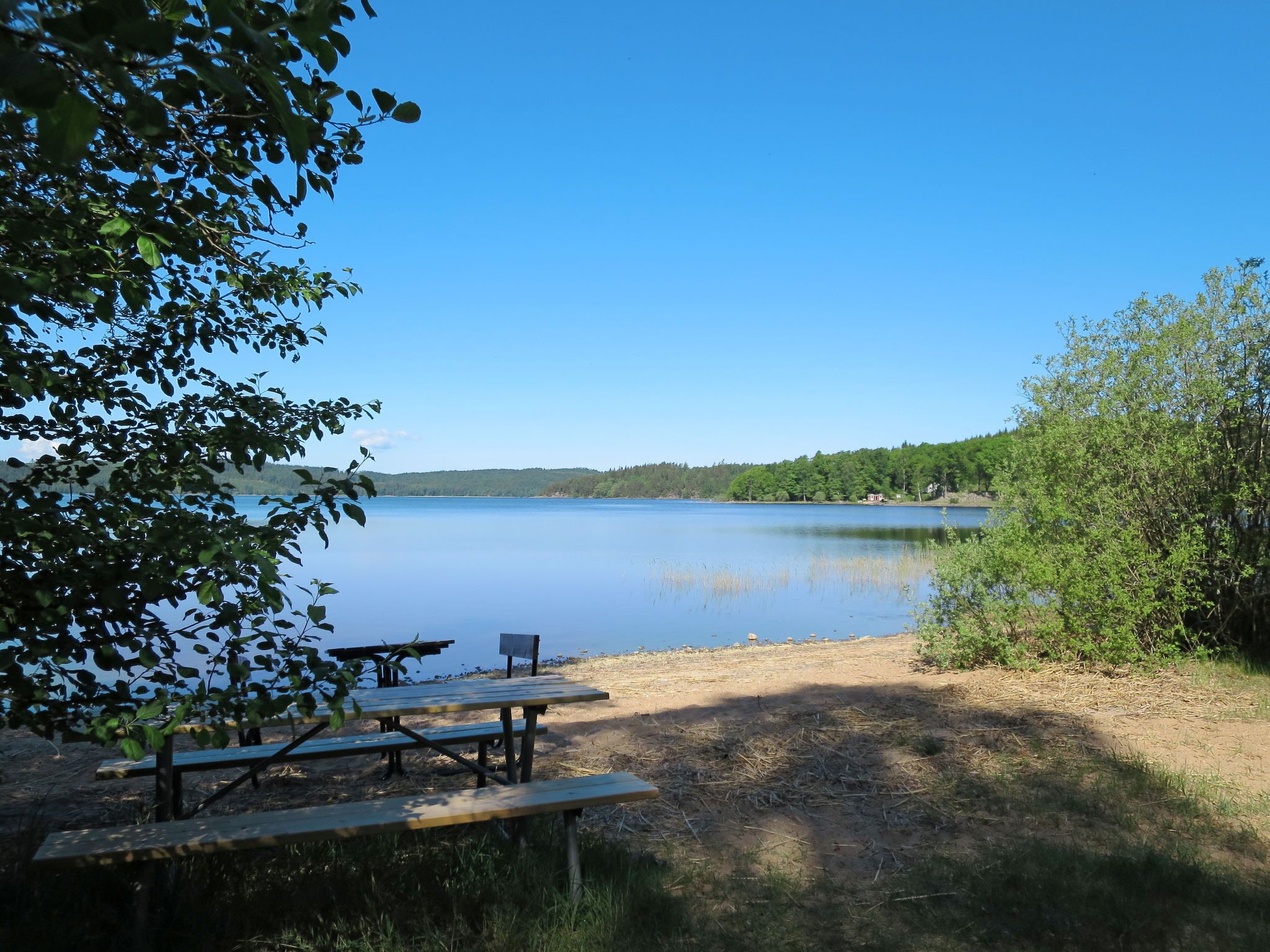 A lakeside picnic area with benches and a table, surrounded by trees and a clear view of the lake.