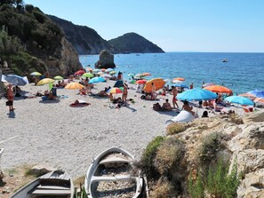 Playa en los alrededores 
