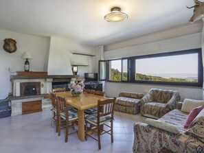 テレビ、暖炉、DVD プレーヤー