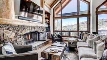 Televisión, chimenea y reproductor de DVD