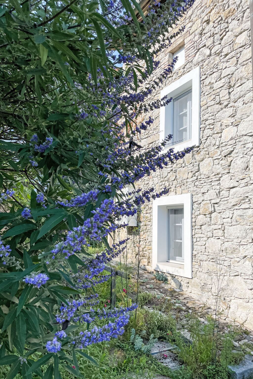 Edifici de pedra amb finestra i porta, envoltat de verdura i flors.