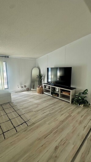 Fernseher