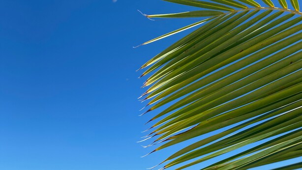 Escena de playa con cielo azul despejado y arena.