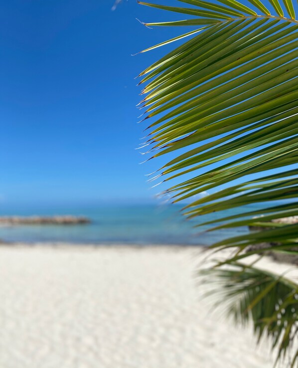 Exterior - La Casa de Paz (San Pedro)