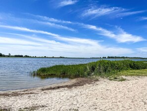Ein sandiger Strand mit Wasser und Grasbewuchs.