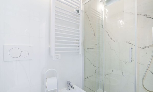 Shower, hair dryer, bidet, towels