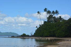 Playa