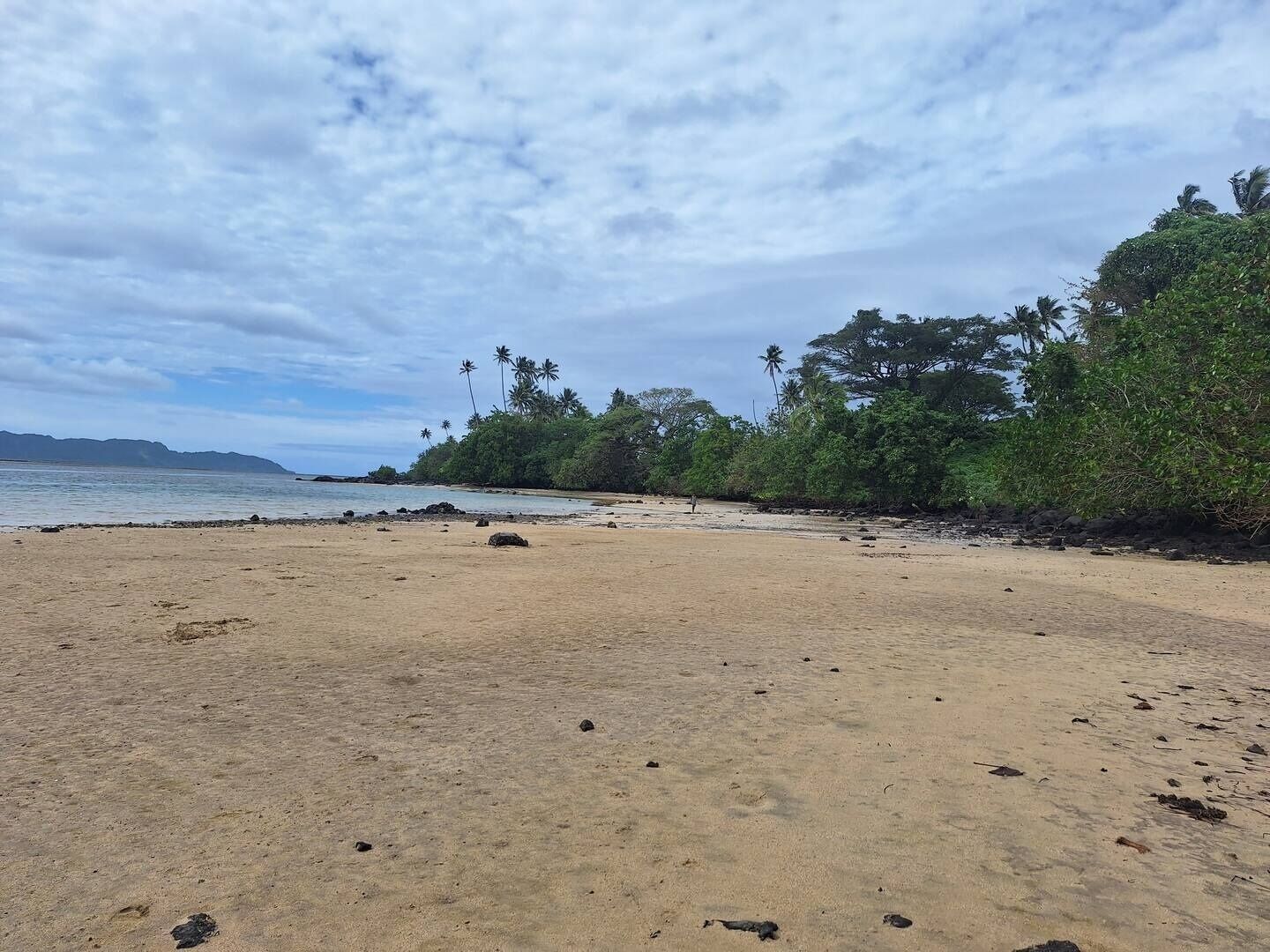 Una playa con arena, palmeras y un mar tranquilo bajo un cielo nublado.