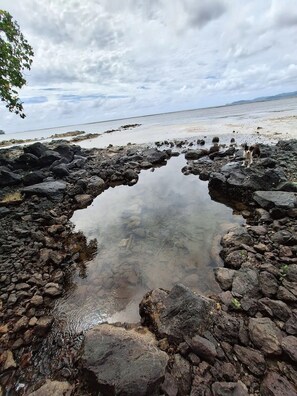 Una costa rocosa con un pequeño cuerpo de agua rodeado de piedras.