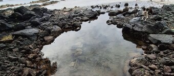 Jima's Home Retreat: Where Peace Finds Home 