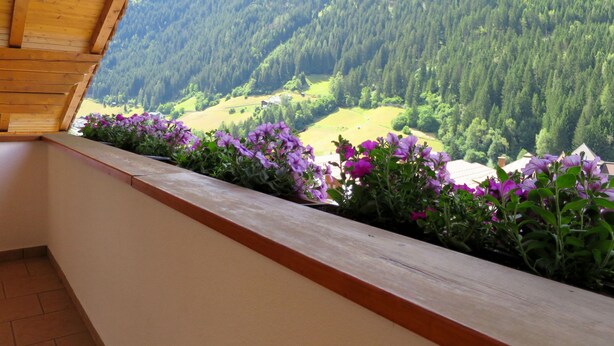 Ein Balkon mit Holzgeländer mit Blick auf eine gebirgige Landschaft mit violetten Blumen.