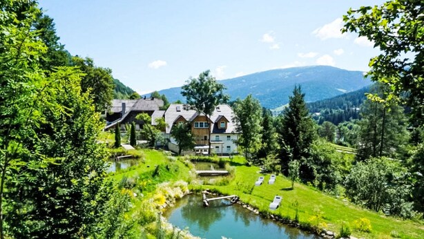 Un'ampia dimora con diversi edifici, uno stagno e un molo di legno.