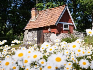 A small stone house with a red roof and wooden walls, surrounded by a field of daisies. - Vacation home Matvik by Interhome (Karlshamn)