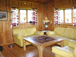 TV, fireplace, DVD player