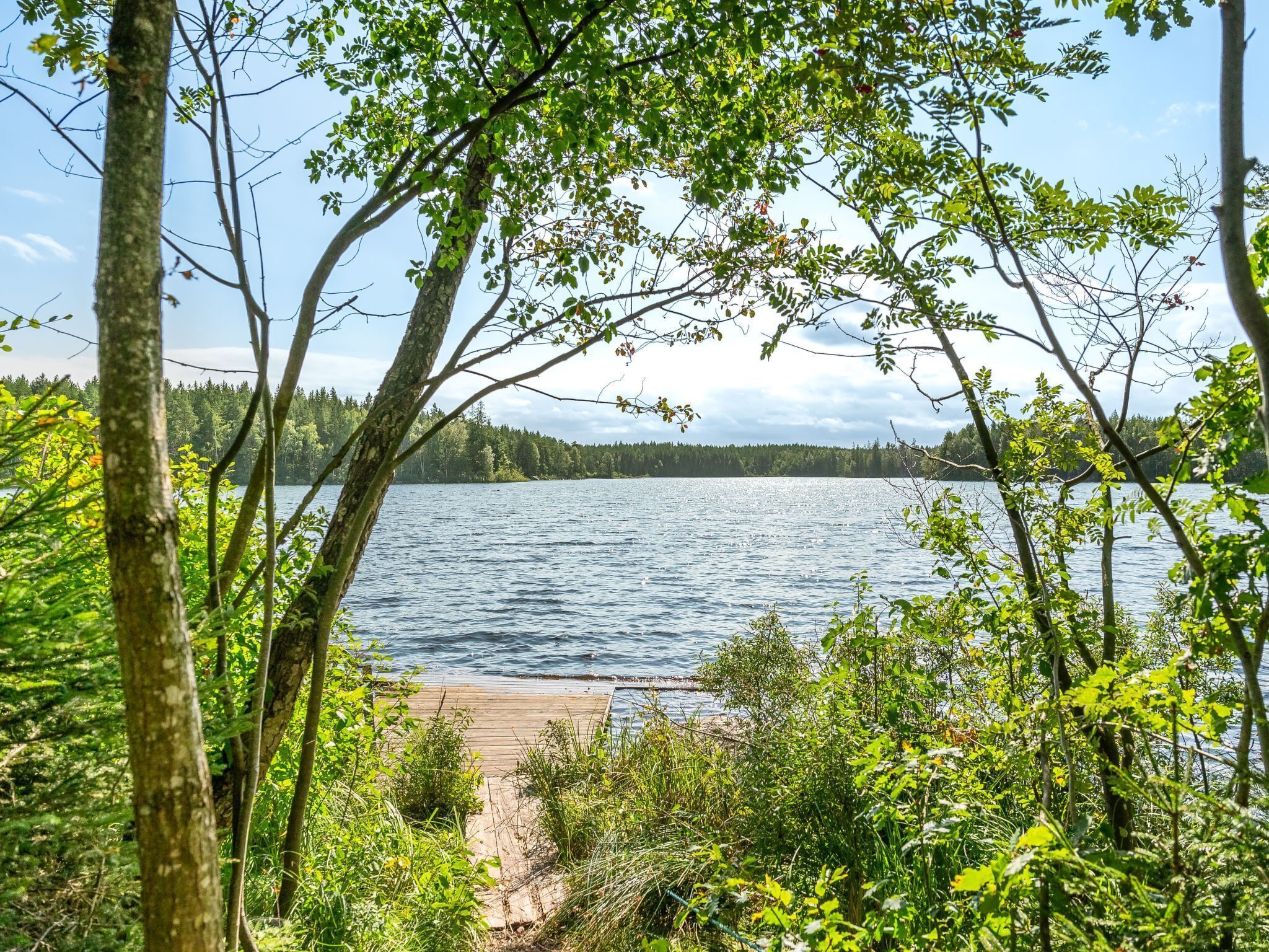 Een houten steiger die uitkomt bij een kalm meer, omgeven door weelderige groene begroeiing en bomen.