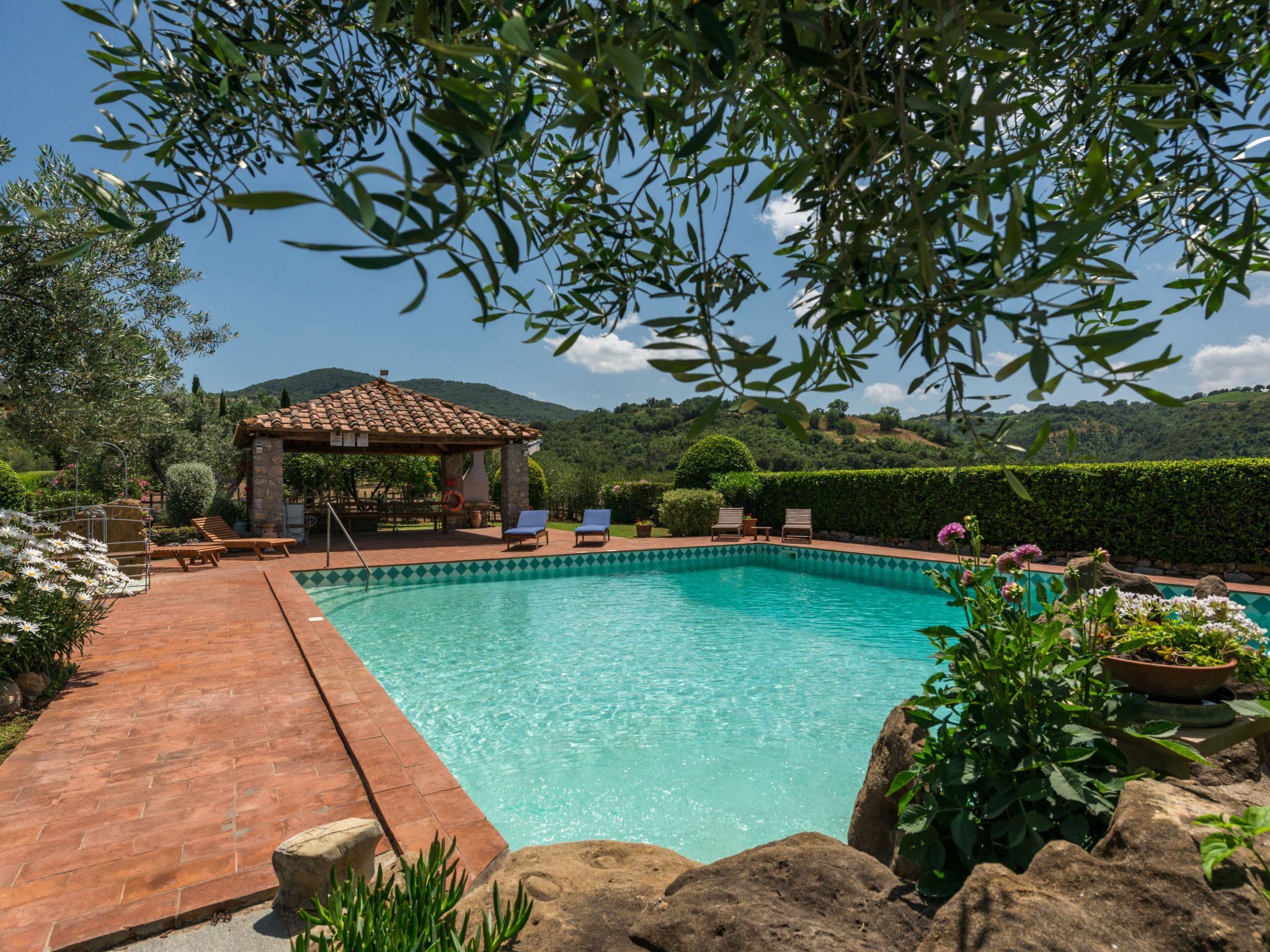 A swimming pool with a tiled deck, surrounded by greenery and a pergola.