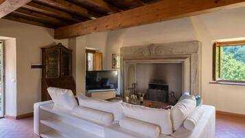 TV, fireplace, DVD player