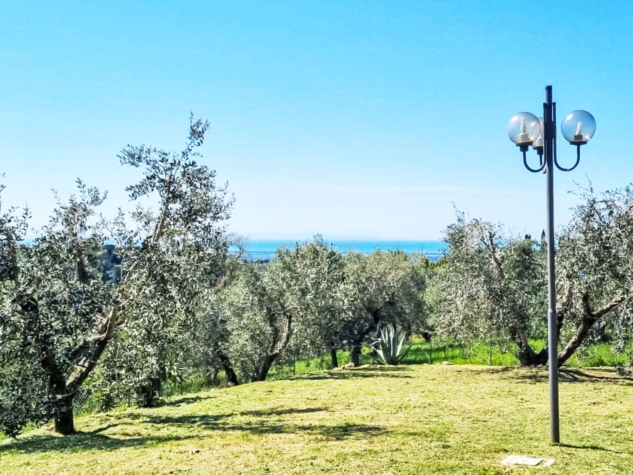 Parco della struttura