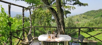 Belvedere by Interhome