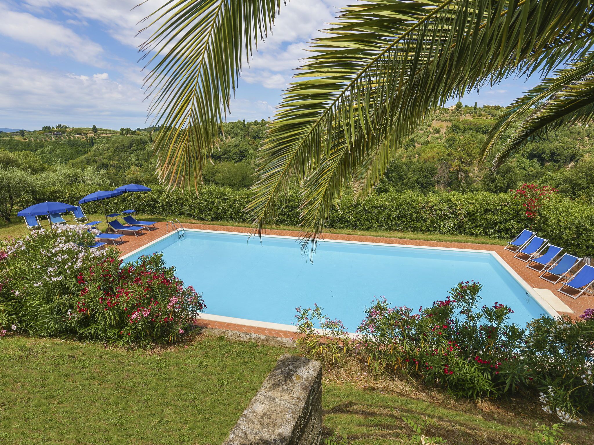 Una piscina rodeada de sillas reclinables azules y sombrillas, con abundante vegetación y un cielo despejado al fondo.