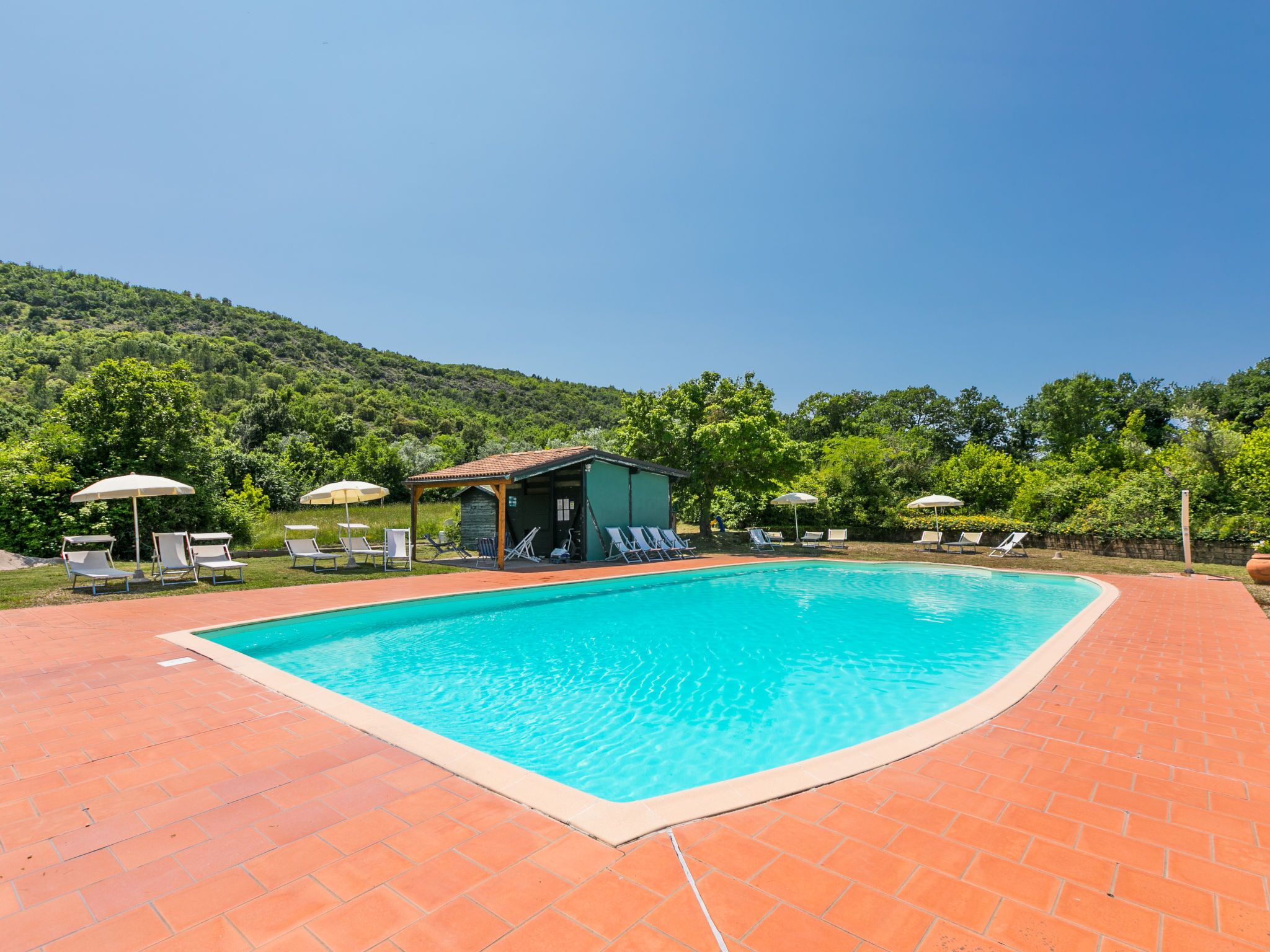 Una piscina con sillones de descanso y sombrillas, rodeada por un patio de ladrillo y abundante vegetación.