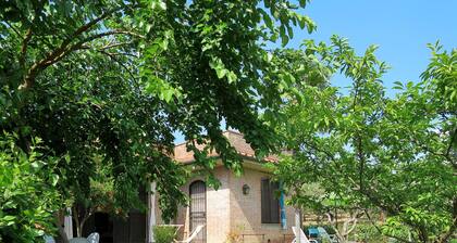 Podere Conte Francesco-La Palma by Interhome
