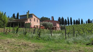 A vineyard with rows of grapevines and two buildings with red roofs. - Conte Francesco II by Interhome (Certaldo)