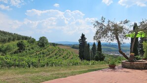 A terrace with a view of vineyards, trees, and distant hills. - Conte Francesco II by Interhome (Certaldo)