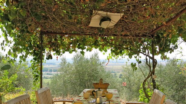 An outdoor dining area with a table set for four, surrounded by wooden chairs, under a pergola with climbing vines. - L'Uccelliera by Interhome (San Giuliano Terme)