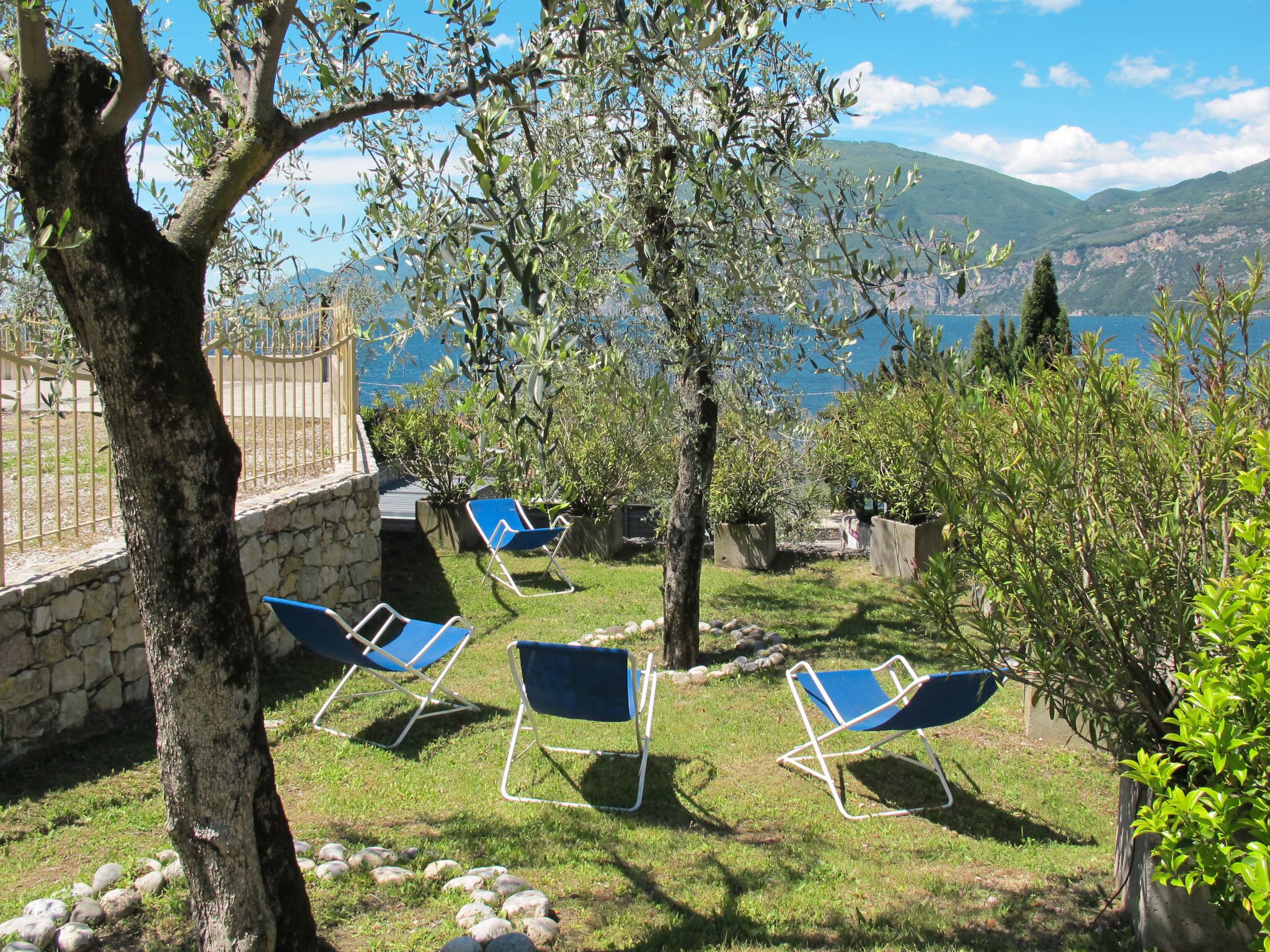 Un jardín con muro de piedra, olivos y vistas al mar.