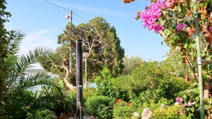 Ein Gartenpfad mit Steinpflasterung, umgeben von üppigem Grün und blühenden Pflanzen.