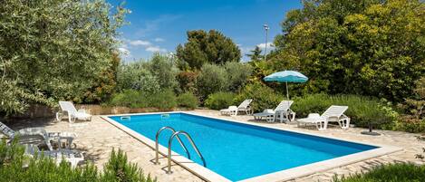 A rectangular swimming pool with a stone deck, surrounded by lush greenery and white lounge chairs.