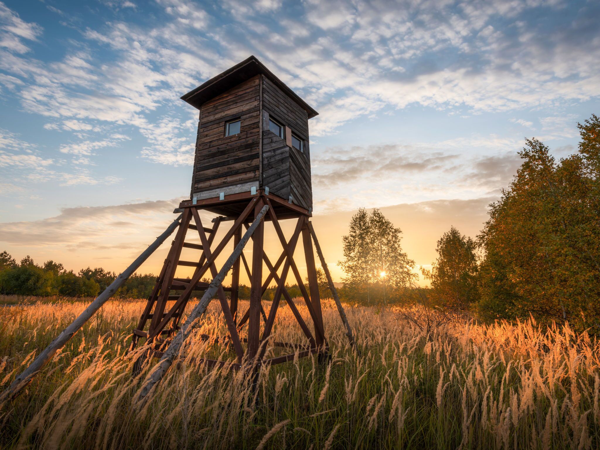 Una torre de madera para observación con una escalera metálica, rodeada de hierba alta y árboles, bajo un cielo parcialmente nublado.