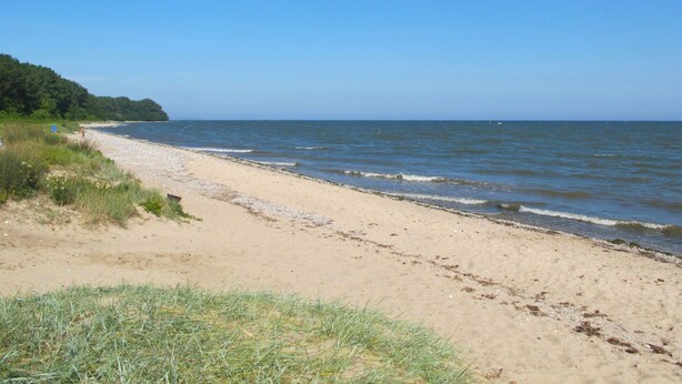 Une plage de sable fin aux vagues douces, un ciel dégagé et une colline boisée en arrière-plan.