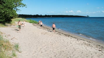 Playa en los alrededores