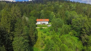 Un edificio grande y blanco con techo rojo rodeado de un bosque verde y frondoso.