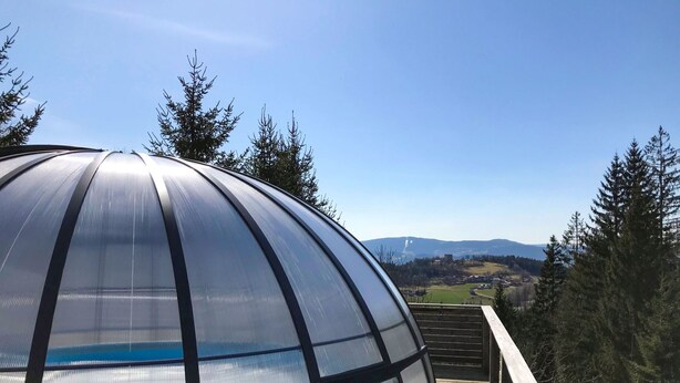 Una estructura grande de forma abovedada con techo transparente, rodeada por una cubierta de madera y árboles.