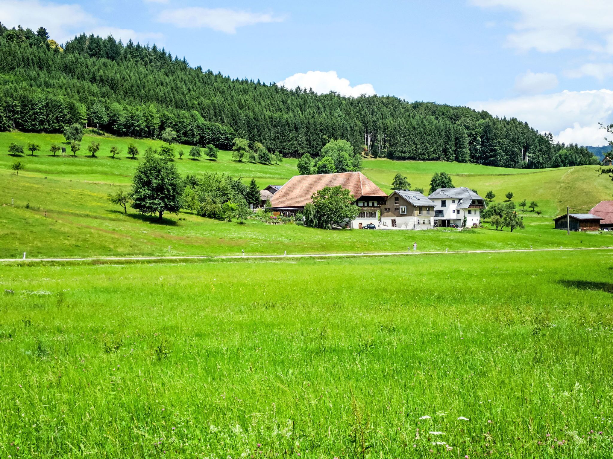 Een landelijk landschap met een huis, omgeven door groene velden en een bebost heuvel.