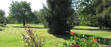 Parco della struttura