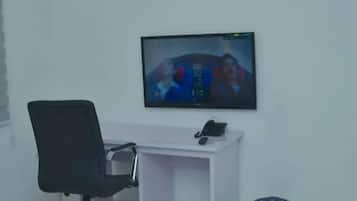 Television